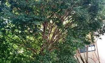 Imagem 4: Casa à venda, 5 quartos, 5 suítes, 8 vagas, Mangabeiras - Belo Horizonte/MG