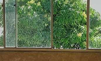 Imagem 7: Apartamento lindo em Jardim Camburi