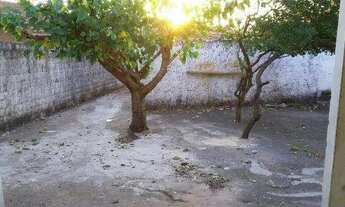 Imagem 7: Casa para aluguel possui 77 metros quadrados com 2 quartos