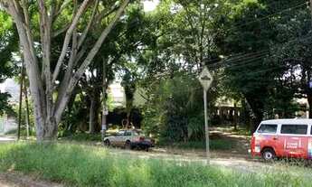 Imagem 3: Térrea para aluguel com 150 m² com 3 quartos na Vila Sônia