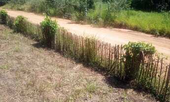 Imagem 5: Terreno Terreno / lote com venda por R$75.000