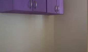 Imagem 7: Apartamento para Aluguel - Freguesia do Ó, 3 Quartos, 65 m2