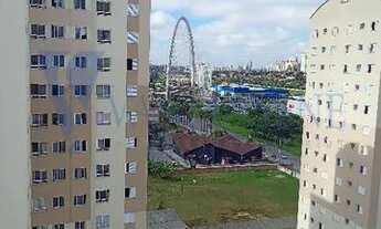 Imagem 7: Coladinho ao Colegio Poliedro e Anglo, 1 dorms, elevador, gar