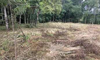 Imagem 5: Chacara 5mil metros quadrados - Próximo a Volkswagen