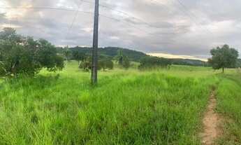 Imagem 6: Vendo excelente fazenda em São Sebastião do passe