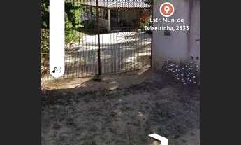 Imagem 4: Alugo está chácara