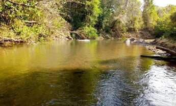 Imagem 3: Chácara A Venda Com Casa Trindade - Goiás Com Água