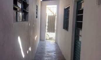 Imagem 7: Kit Net vitória regia 1