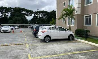 Imagem 5: CURITIBA - Padrão - Hauer