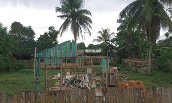 Imagem 3: Terreno com Casa, Árvores Frutíferas e Localização Privilegiada na Comunidade MarcosFreire