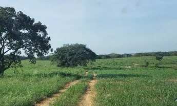 Imagem 2: Fazenda em Campos Lindos. 66 mil por alqueire