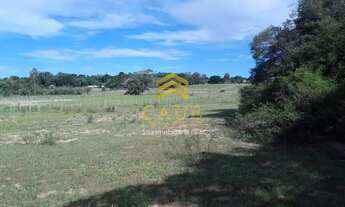 Imagem 7: Imóvel para venda com 88000 metros quadrados em Águas Claras - Viamão - RS