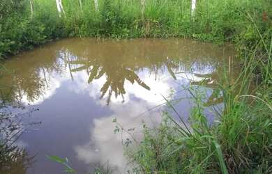 Imagem 6: Sítio para Venda em Messias, Zona Rural