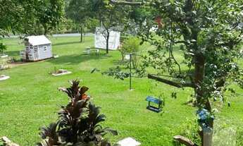 Imagem 6: Sítio com Estrutura Completa e Excelente Potencial Comercial