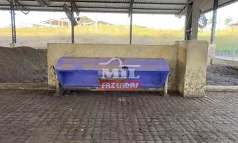 Imagem 3: Sitio 14 Alqueires (67,76 Hectares) Orizona - GO