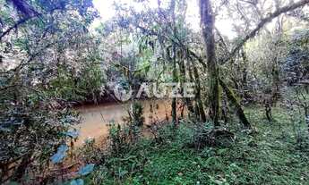 Imagem 3: Maravilhosa Chácara à venda, Colônia Murici, São José dos Pinhais, PR