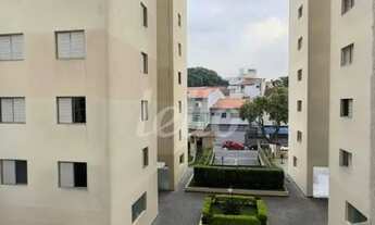 Imagem 6: Apartamento 2 quartos para alugar no(a) Centro