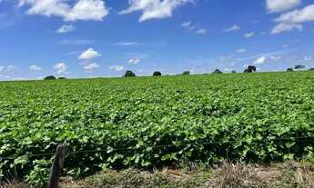 Imagem 5: Vende-se uma excelente fazenda