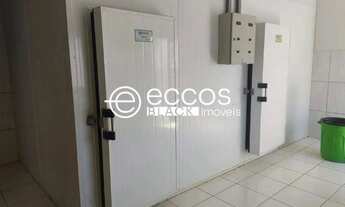 Imagem 3: Imóvel Comercial para aluguel, 6 vagas, Universitário - UBERABA/MG