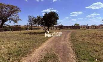 Imagem 4: Fazenda em Alexânia 126 ha Plana, Dupla Aptidão: Pecuária Leiteira e Corte + Agricultura