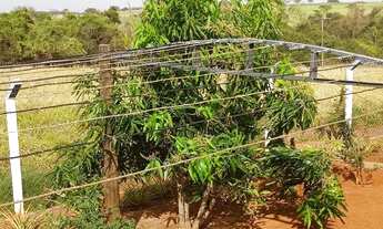 Imagem 6: Vendo chácara na região de Monções/Macaubal