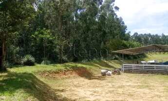 Imagem 6: Terreno à venda no Jardim Martinelli (Sousas), Campinas