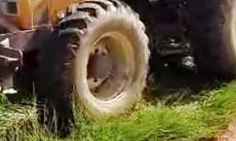 Imagem 7: Fazenda Goiás - Mara Rosa