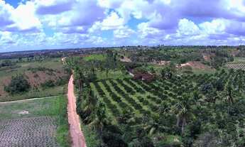 Imagem 6: Vendo Sitio com 7,5 Tarefas sem Casa, na Colônia 13 Lagarto-Se
