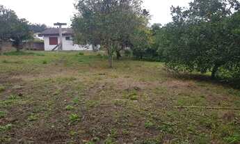 Imagem 7: Terreno de 2 mil m² com ESCRITURA PÚBLICA localizado na Cachoeira do Bom Jesus!