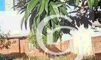 Imagem 6: Terreno à venda, 570 m² por R$ 1.235.000,00 - Centro - Cascavel/PR