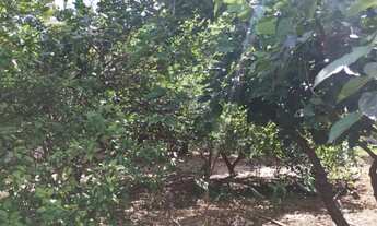 Imagem: Terreno em Nova Odessa 312 Mtr2