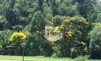 Imagem 2: Investimento!! Terreno 800 m²