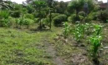 Imagem: Guarulhos, Terreno Comercial/Residencial