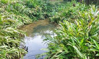 Imagem 4: Área 20.003m² Campo Largo, Bateias, doc 100%, lavoura, bosque, rio