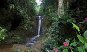 Imagem 3: Venda Lote em condomínio Bosque da Ribeira Nova Lima