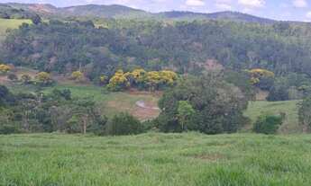 Imagem 2: Roça com Platanção de Cacau, 02 nascentes, com 52.272m² em Jiquiriçá