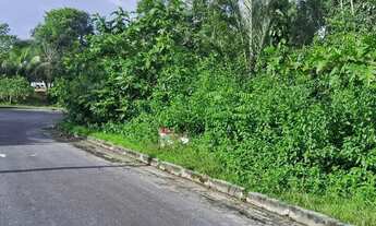 Imagem 5: Lote Residencial no Porto Tarumã com 1.199m²