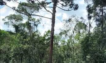 Imagem 2: Terreno com Casa e Nascente Bairro Campestre, Tijucas do Sul 11.000m²