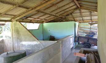 Imagem 5: Vende-se sítio em Conceição de Macabu