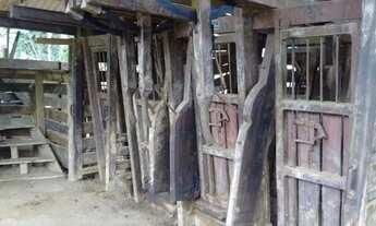 Imagem 4: FAZENDA NA PECUÁRIA A VENDA NO ESTADO DO PARANÁ - PR ?? Área Total: 421 Alqueires ou 1.018