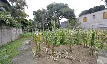 Imagem 6: Terreno Padrao - Boacava/Sao Paulo