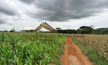 Imagem 7: Sitio com 2 alqueires em Cesário Lange-SP