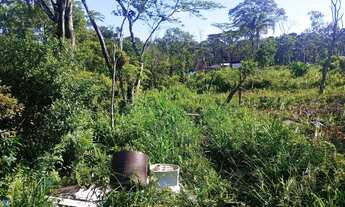 Imagem 7: Curva do S praia grande 35