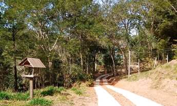 Imagem 7: Vendo chácara com 5004 metros quadrados