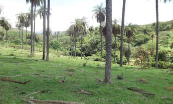 Imagem 4: Serra d Cipó!!! lindo terreno rural de 41 hectares na MG * WhtsApp