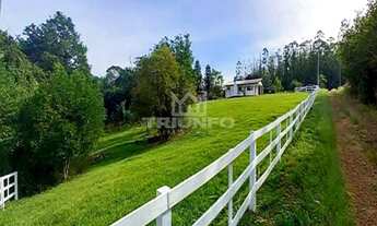 Imagem 6: Sítio de 3 hectare com duas casas.!!!