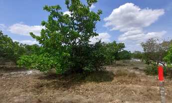 Imagem 4: LOTEAMENTO 3 IRMÃOS