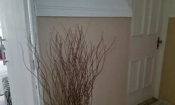 Imagem 2: Apartamento com algum lazer, piscina liga 9 8 7 4 8 3 1 0 8 Diego9989f vinadelmar