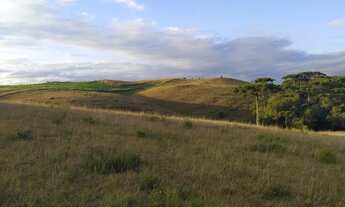 Imagem 4: Excelente oportunidade para investidores em São Francisco de Paula