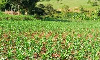 Imagem 6: Chacara em Anicuns - 80 km de Goiânia
